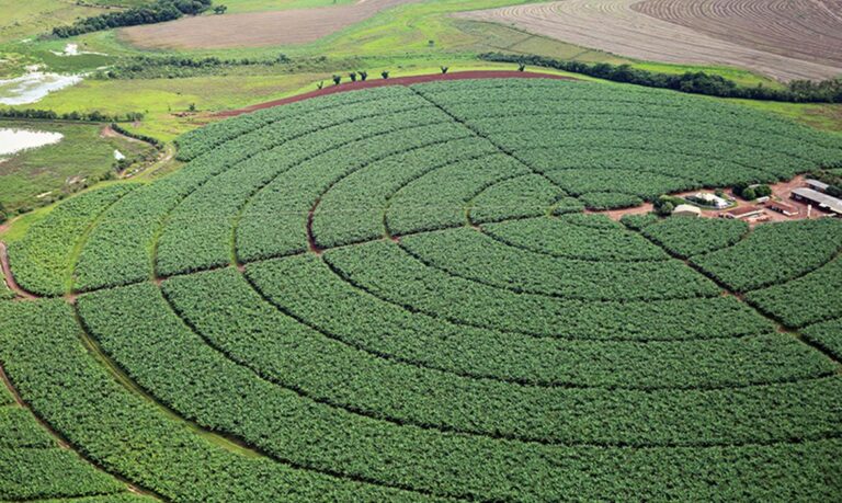 Governo publica novas regras para registro de defensivos agrícolas;