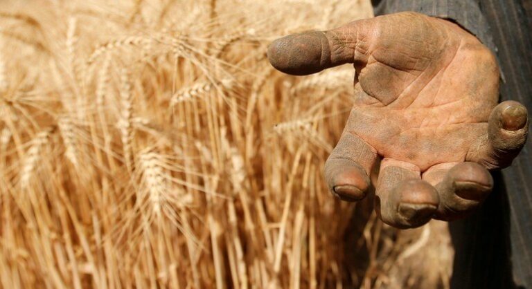 Preços dos alimentos no mundo são os mais caros em 10 anos;