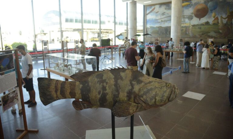 Aeroporto Santos Dumont, no Rio, recebe exposição do Museu Nacional.