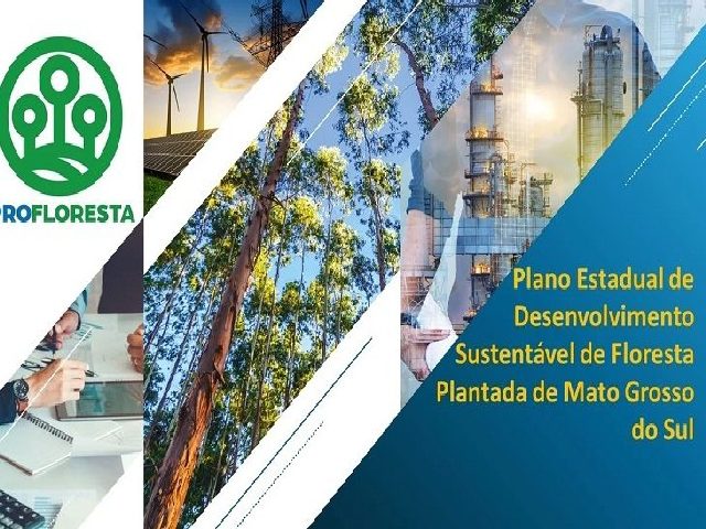 Governo lança PROFLORESTA para potencializar cadeia produtiva que gera 27,2 mil empregos em MS.