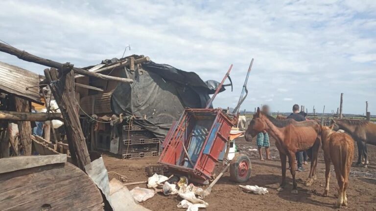 Casal que dormia em chiqueiro é resgatado de situação análoga à escravidão em fazenda no Pantanal