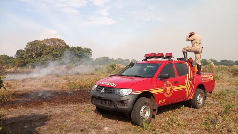 Incêndios são registrados no Pantanal de MS; estado teve 810 focos de calor em 5 meses.